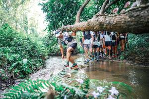 BIB: 
                            <button type="button" onclick="openModal(25472493)" class="btn btn-primary btn-sm float-right btn-popup" data-toggle="modal" data-target=".modal-high-quality">
                        <i class="fas fa-shopping-cart"></i> Add to Cart
                    </button>
                                            <button type="button" onclick="isThisMe(25472493, true)" class="btn btn-success btn-sm float-right btn-popup btn-isme hidden" data-toggle="tooltip" data-placement="bottom" title="นี่คือรูปของคุณใช่ไหม คลิกที่นี่เพื่อเอาเข้าอัลบั้ม">
                        <i class="fas fa-plus"></i> Add to album
                    </button>
                    <button type="button" onclick="isThisMe(25472493, false)" class="btn btn-warning btn-sm float-right btn-popup btn-isnotme hidden">
                        <i class="fas fa-ban"></i> Remove from album
                    </button>